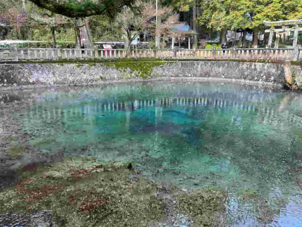 別府弁天池の写真