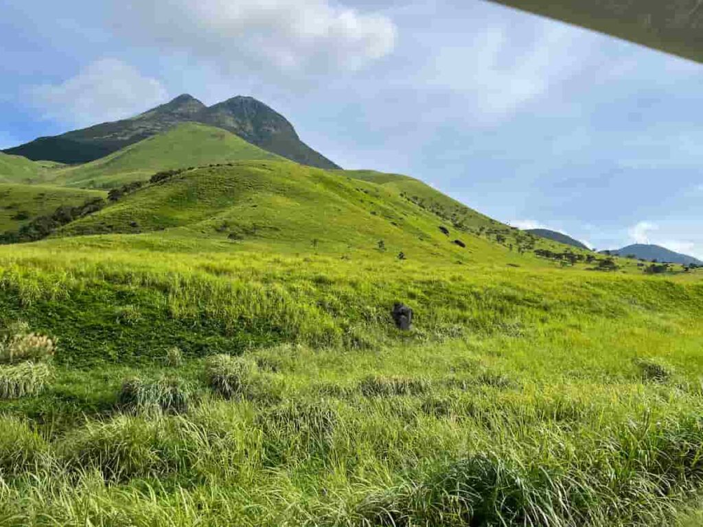 【キャンピングカー旅log】大分・熊本を巡る3泊4日ドライブ旅行 2026.8.25-27 5 由布岳と一面に広がる草原の写真