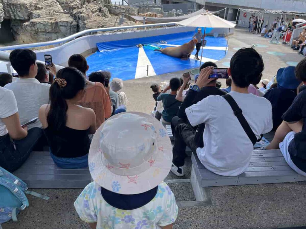 【キャンピングカー旅log】大分・熊本を巡る3泊4日ドライブ旅行 2026.8.25-27 6 セイウチのショーを眺める娘の写真