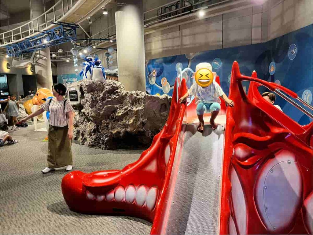【キャンピングカー旅log】大分・熊本を巡る3泊4日ドライブ旅行 2026.8.25-27 7 タコの滑り台で遊ぶ
娘の写真