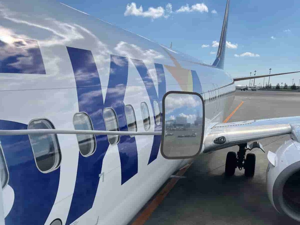 帰りの便で乗ったスカイマークの飛行機